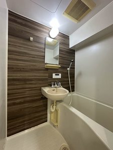 メイプルタウンアライ 307号-9