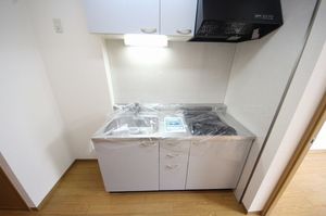 ヴァーデュラスコート 305号-5