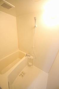 ヴァーデュラスコート 305号-8