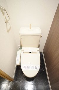 メゾンしんまちＫ　１ 203号-10