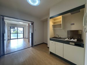 ライフルマンション 216号-8