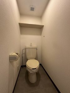 ライフルマンション 216号-10