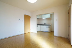 ライフルマンション 303号-2