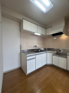 ライフルマンション 310号-8