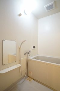 ヴィラ フェルト 101号-6