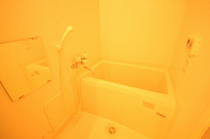 ラージ　フィールド 103号-11