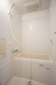ラージ　フィールド 303号-10