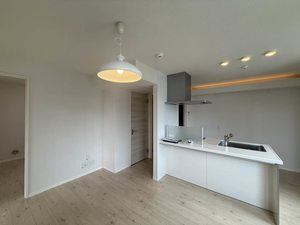 ブランシュ 302号-11