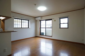 ピアッツァ C 203号-3