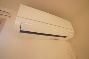 サザンコート 201号-10