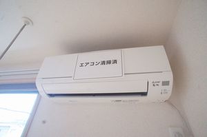 サザンコート 203号-10
