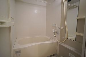 セレッソヒルⅢ 303号-8