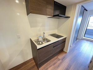 カッサーロ　Ⅱ 101号-5