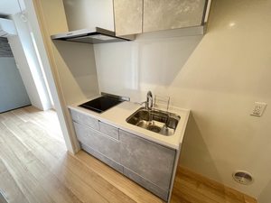 カッサーロ　Ⅱ 202号-5