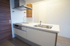 パテール 301号-3