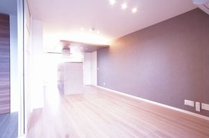 エルミタージュクール 216号-2