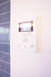 エルミタージュクール 311号-11