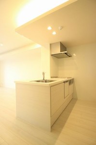 ピーアンドエス　ザ　レジデンス　ウエタケ 303号-7