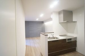 ナンバーアンフィニ 101号-2