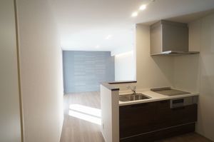 ナンバーアンフィニ 201号-2