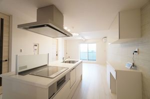 ヒュッゲ 302号-11