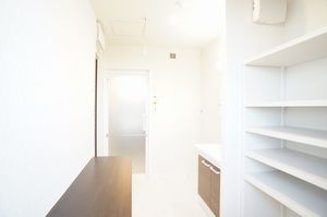 アウローラ・エム 301号-5