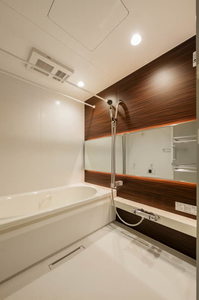 ステラ キャシェット 301号-6