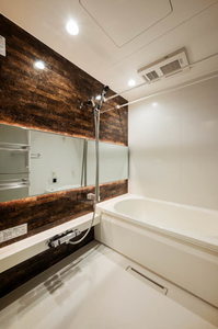 ステラ　キャシェット 303号-8