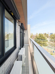 カンパーナ　プリータ 402号-10