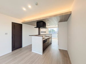 ルミチェーロ 305号-3