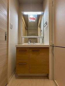 ドムス　グランツ　大宮大成 301号-10