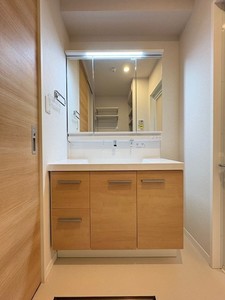 トルシーヌ大宮東町 102号-9