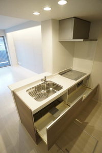 ノートル・リアンⅡ 102号-7