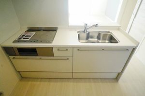 パイン リーブルB 203号-6