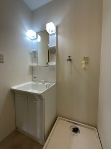 ジュネス中浦和 301号-6