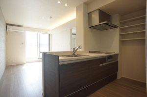 リーゼブロンシュ 304号-3