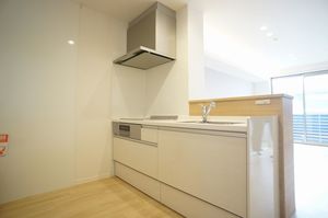 エレベジオ 202号-4