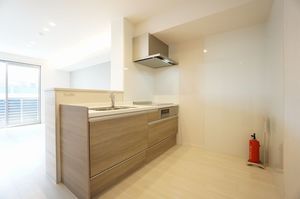 エレベジオ 203号-2