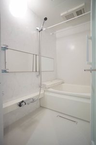 ゼブリナス元町 101号-6