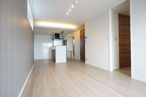 ラッシュドノエ 201号-2