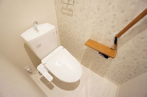 ラッシュドノエ 201号-11