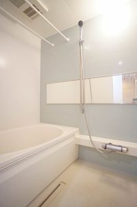 ホワイトヒルズ 301号-10