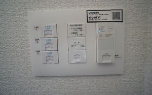 ヴィラ　ロベリア 303号-5
