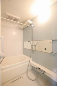 フェリシード 303号-10