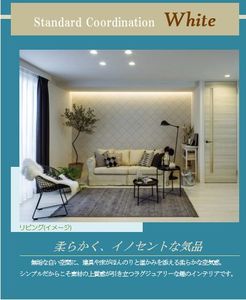 セルディーナ 203号-2