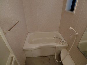 ディアス・ナンブ 102号-8