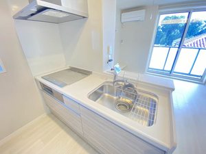 プレザント・アイ 301号-5