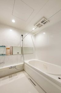 ウィズプラス浦和美園　ウエスト　Ｃ棟 205号-9
