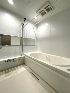 ウィズプラス浦和美園　ウエスト　Ｃ棟 305号-8