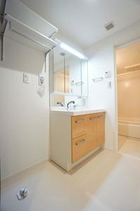 ニュートーム67 304号-10